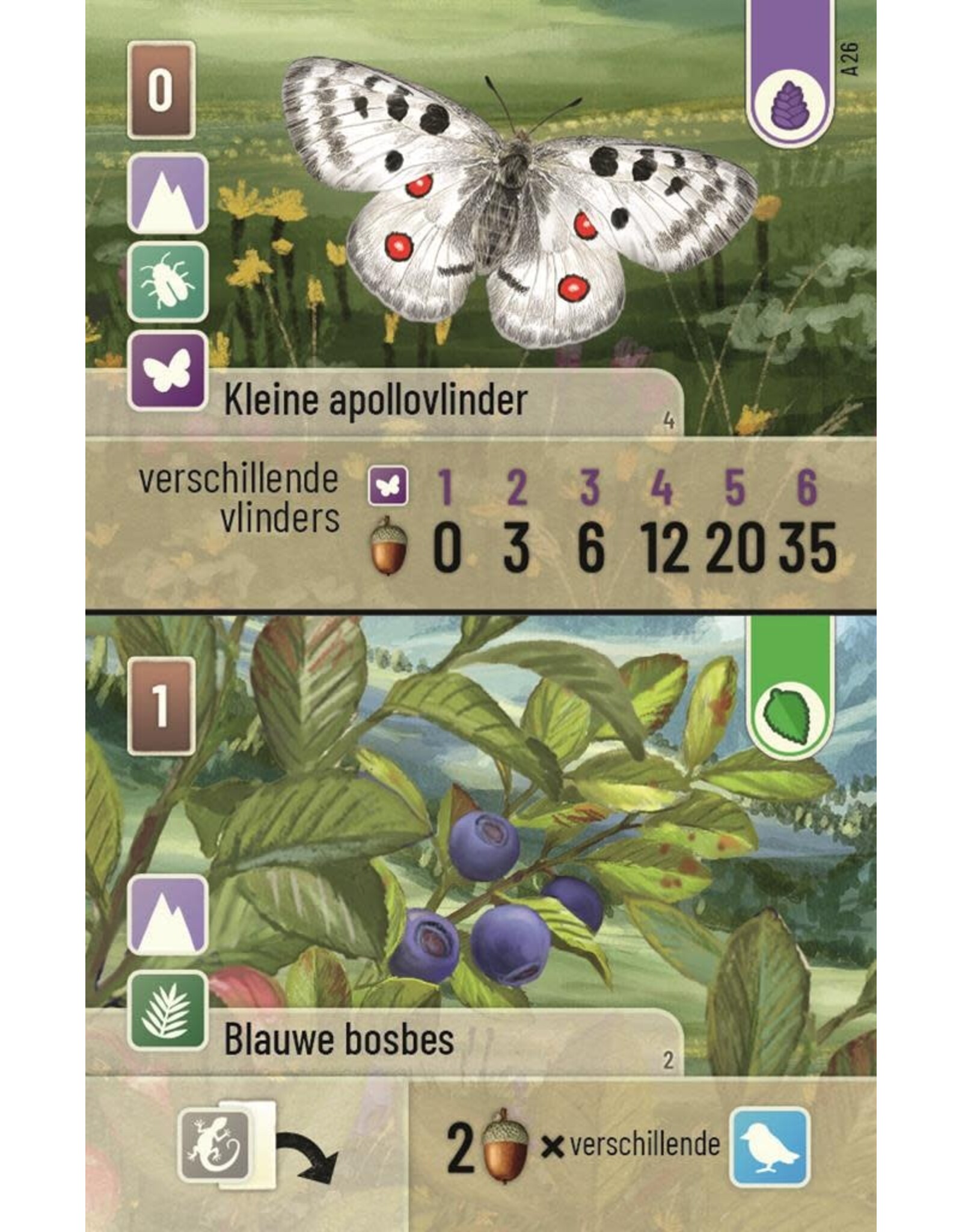 Forest Shuffle Alpine