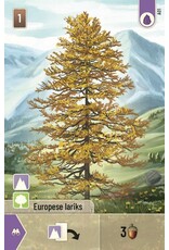 Forest Shuffle Alpine