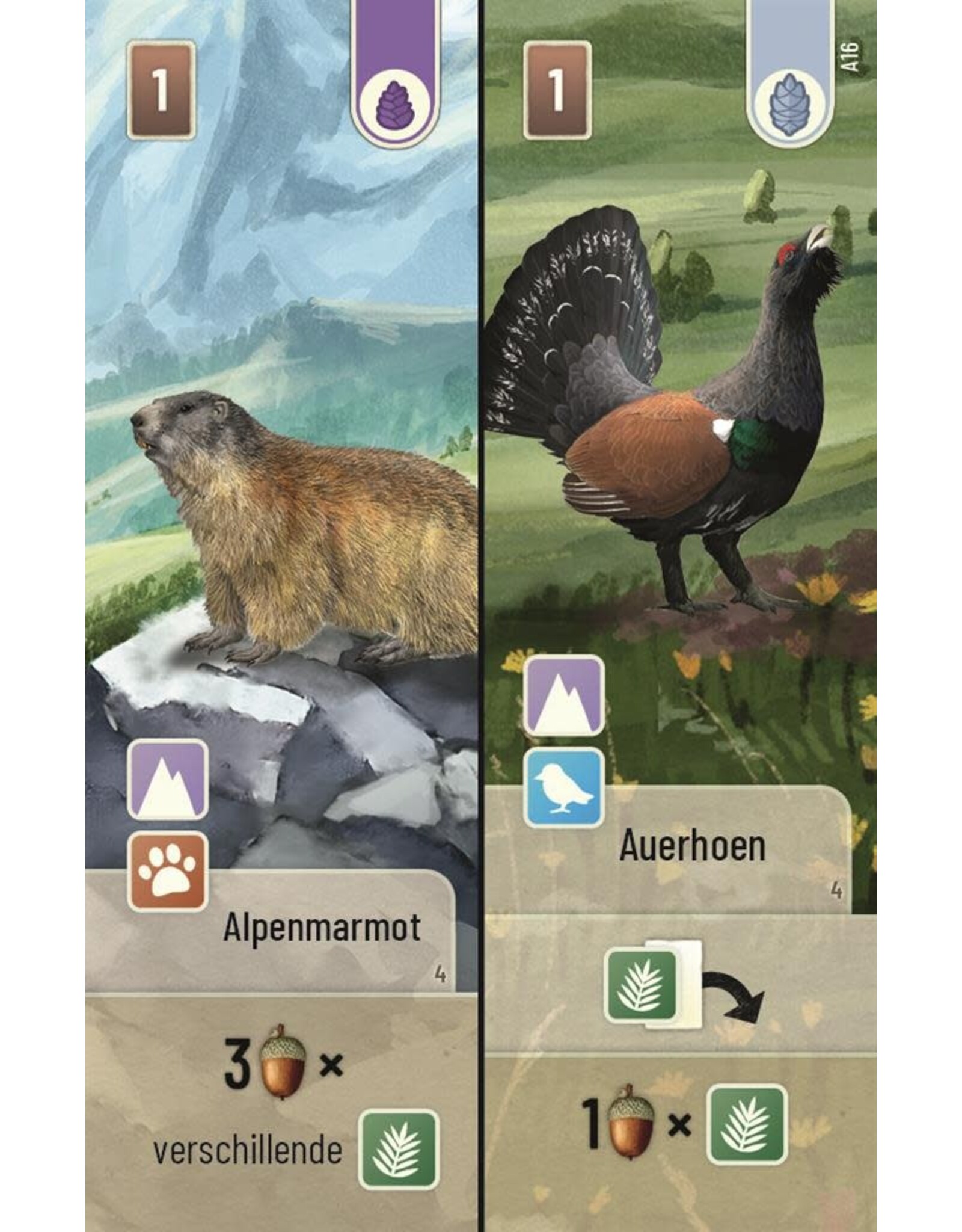 Forest Shuffle Alpine