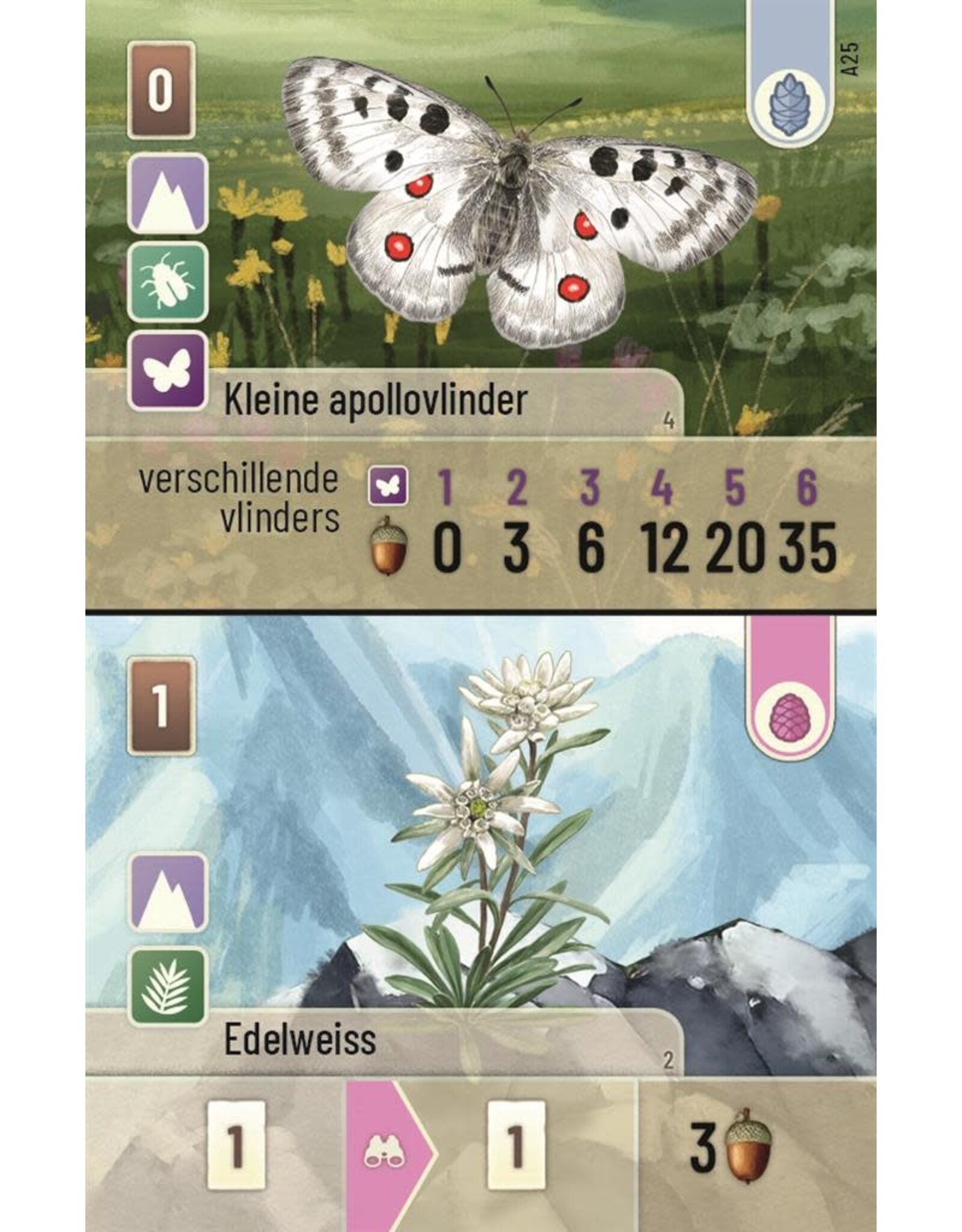 Forest Shuffle Alpine