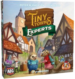 White Goblin Games Tiny Towns Experts