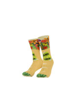 pd party Silly Socks - Flowers