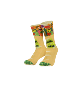 pd party Silly Socks - Flowers