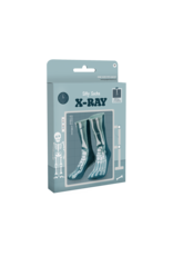 pd party Silly Socks - X-Ray