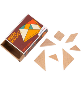 Recent Toys Brain Matches Puzzle Box #4