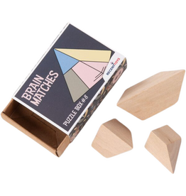 Recent Toys Brain Matches Puzzle Box #8