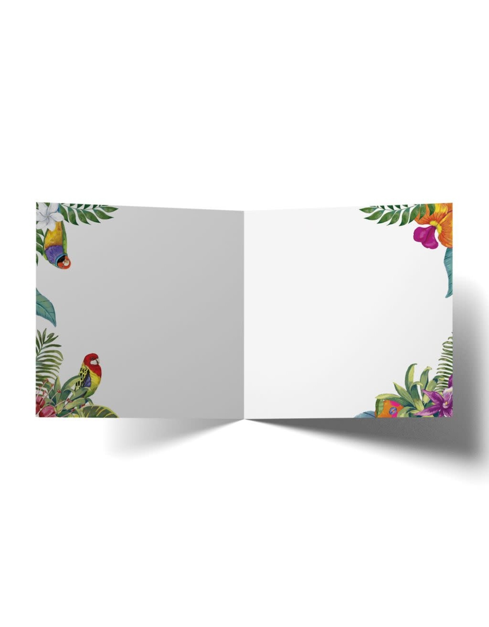 La La Land La La Land -  Tropicana Happy Birthday Fruits