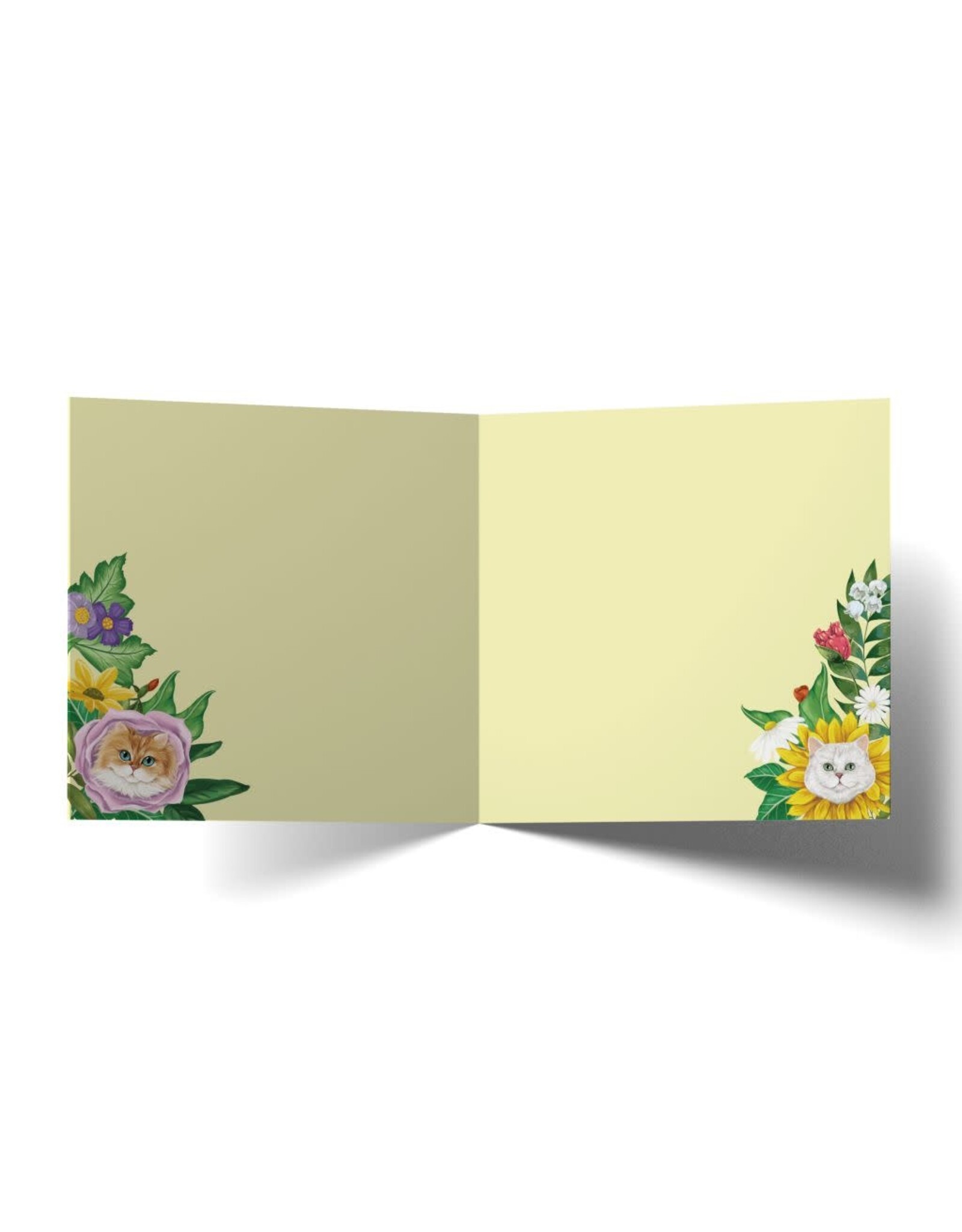 La La Land La La Land - Cat Bouqeut