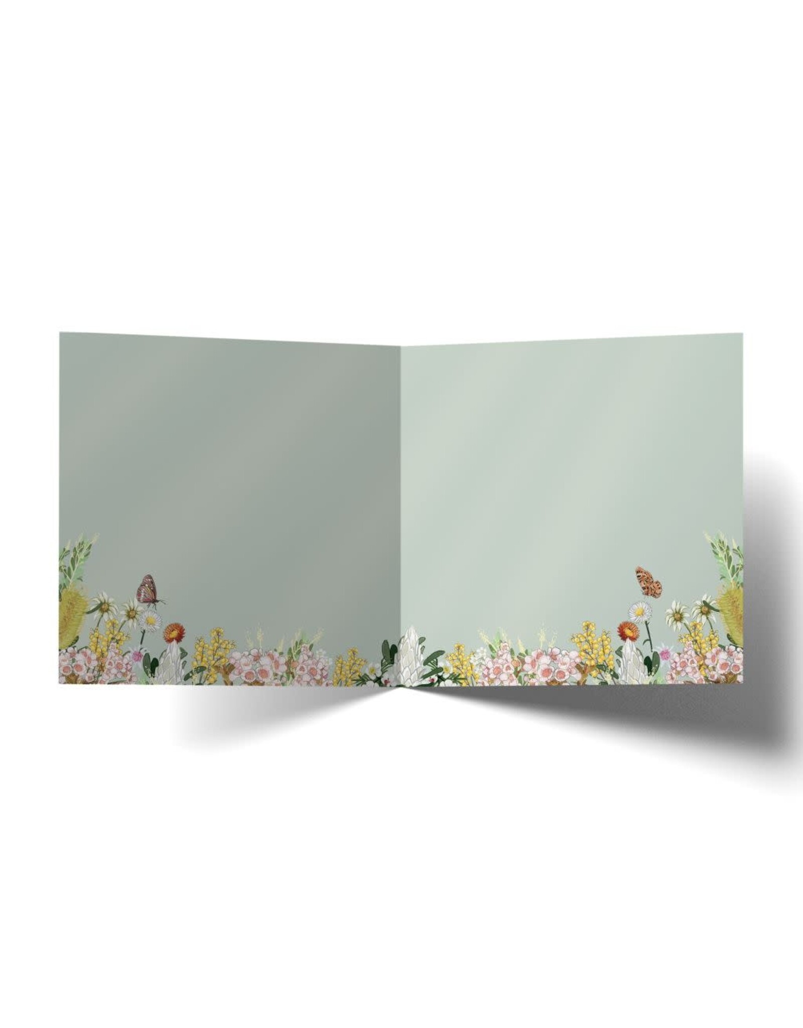 La La Land La La Land - Cane Cot