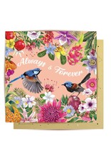 La La Land La La Land -  Fairy Wrens Love