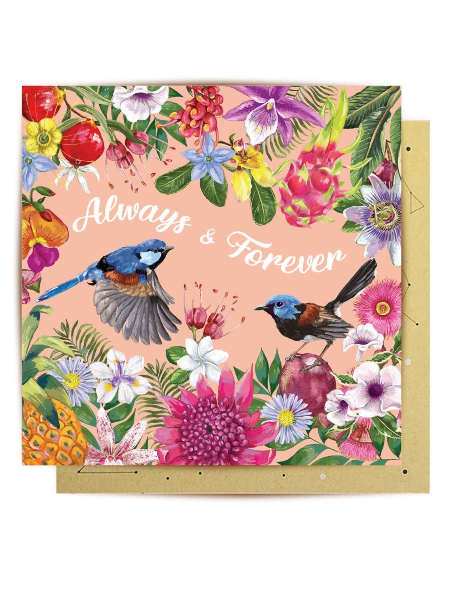 La La Land La La Land -  Fairy Wrens Love