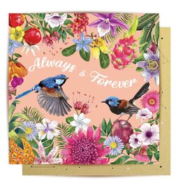 La La Land La La Land -  Fairy Wrens Love