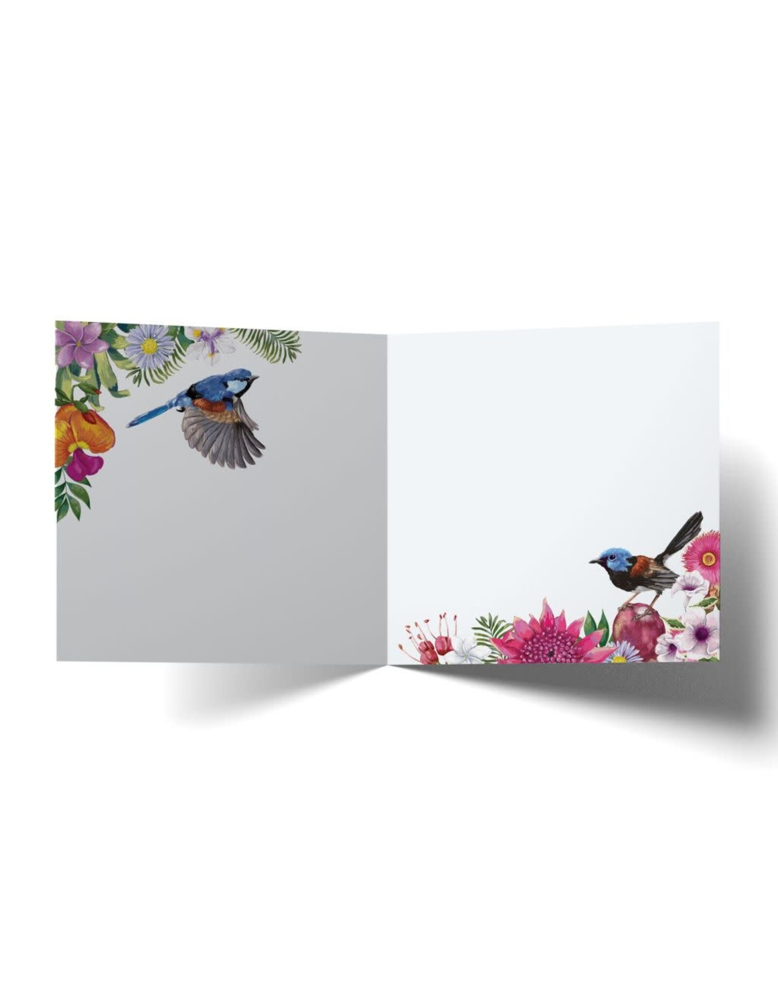 La La Land La La Land -  Fairy Wrens Love