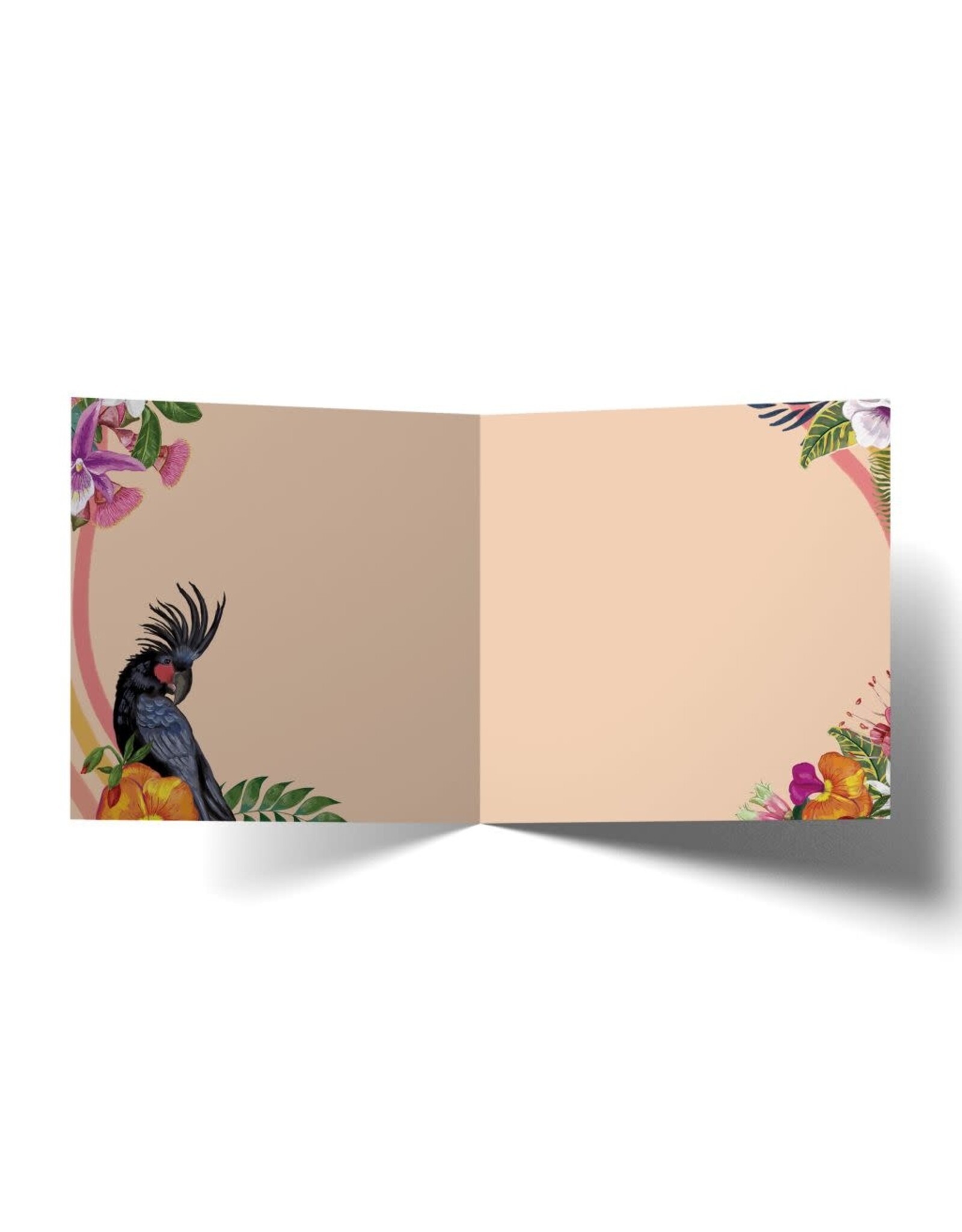 La La Land La La Land -  Tropicana Cockatoos