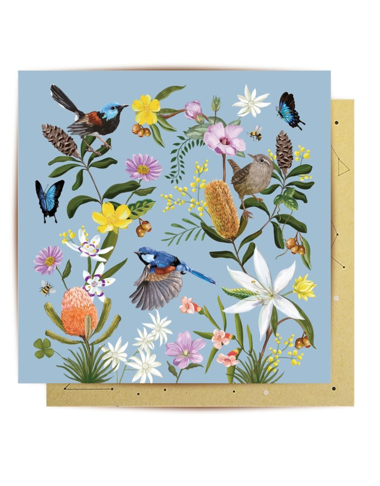 La La Land La La Land - Backcountry