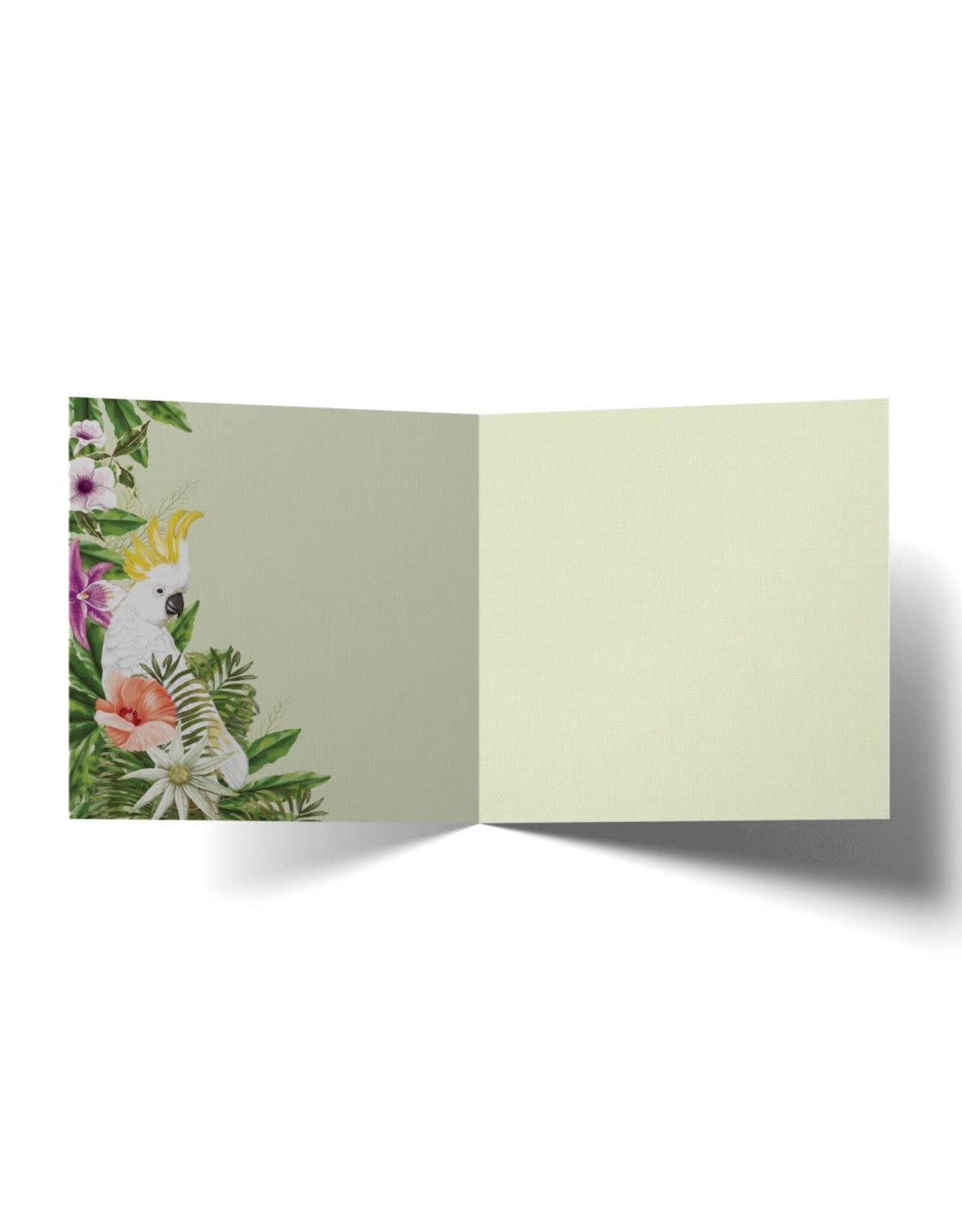 La La Land La La Land - Cockatoos Chat