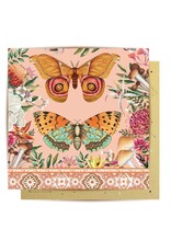 La La Land La La Land - Field Trip