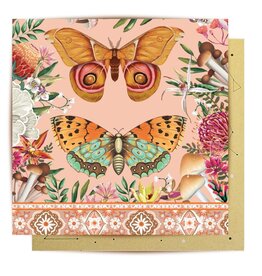 La La Land La La Land - Field Trip