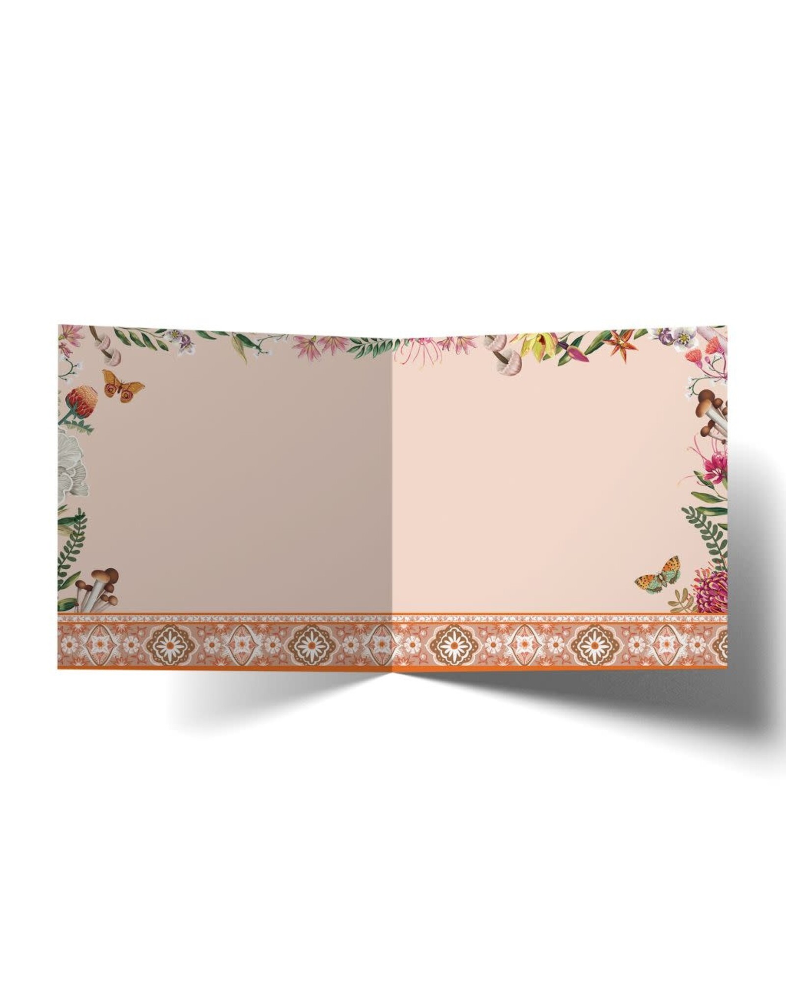 La La Land La La Land - Field Trip