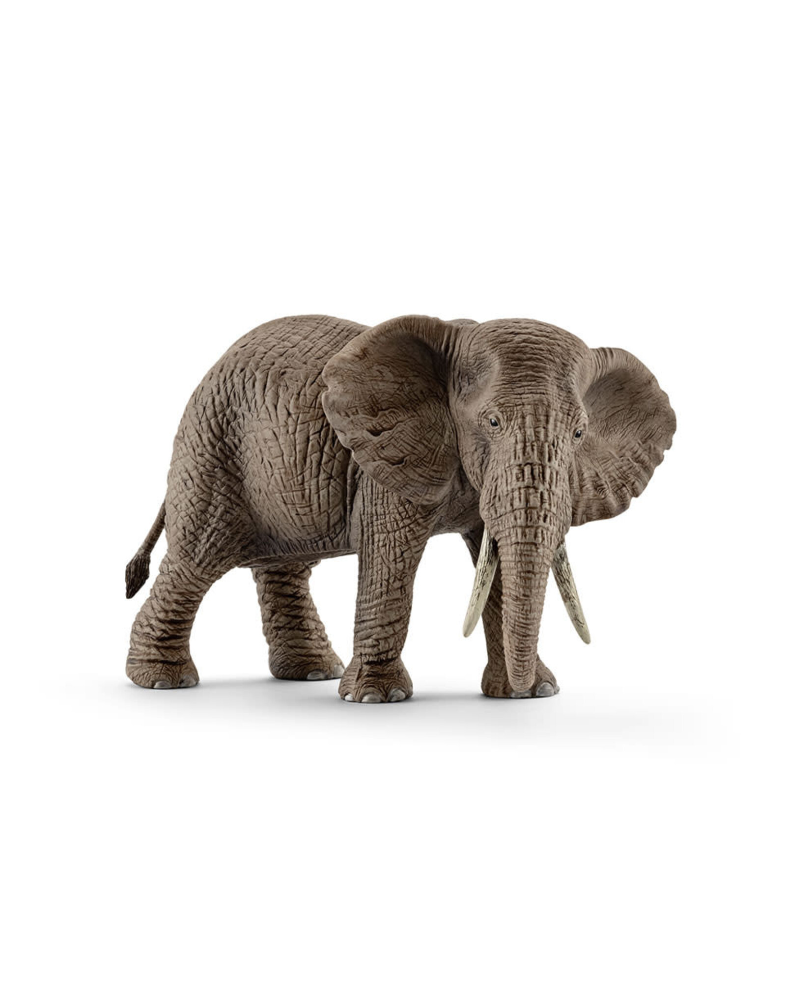 Schleich Afrikaanse Olifant Vrouwtje (Schleich 14761)