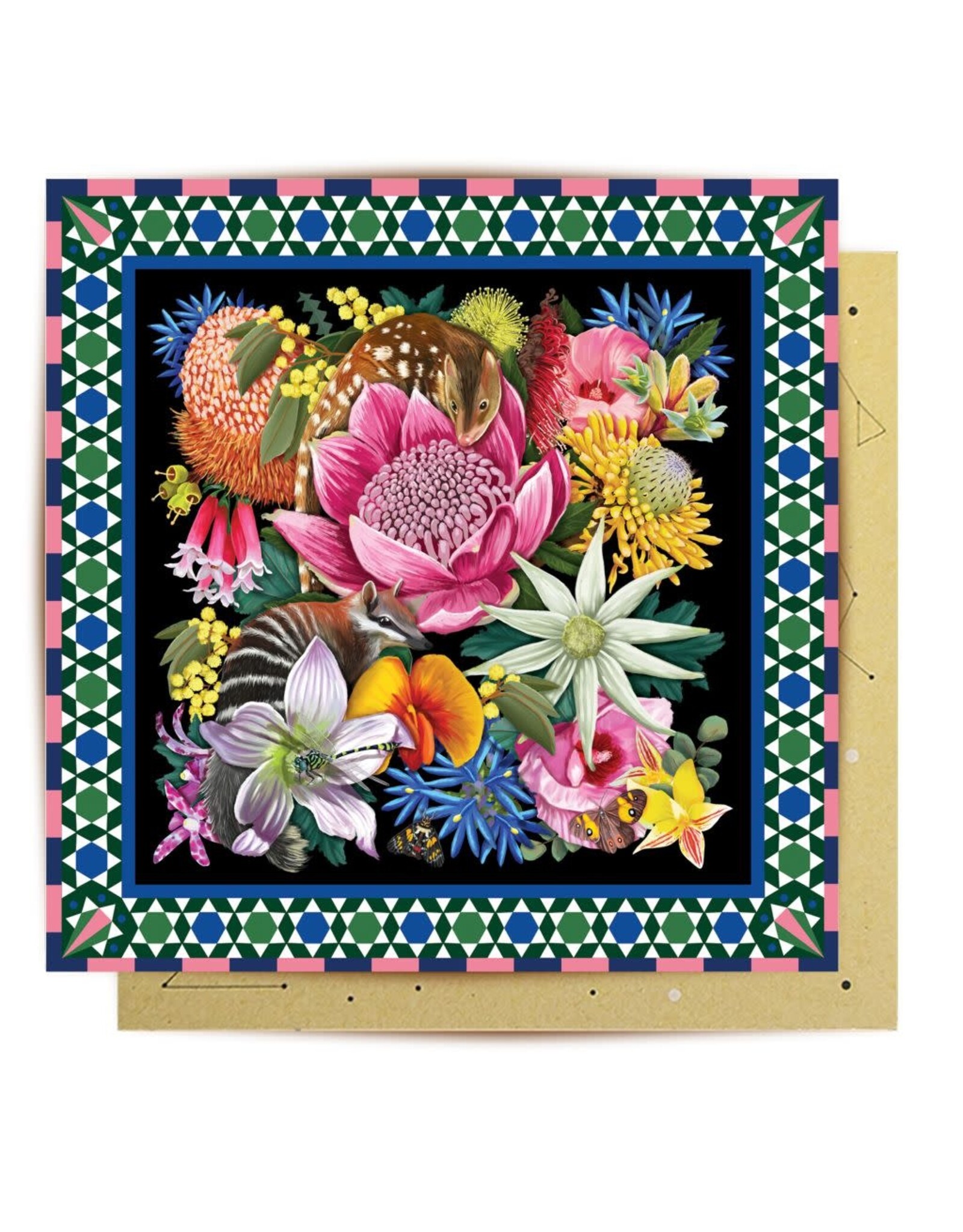 La La Land La La Land - Good Evening