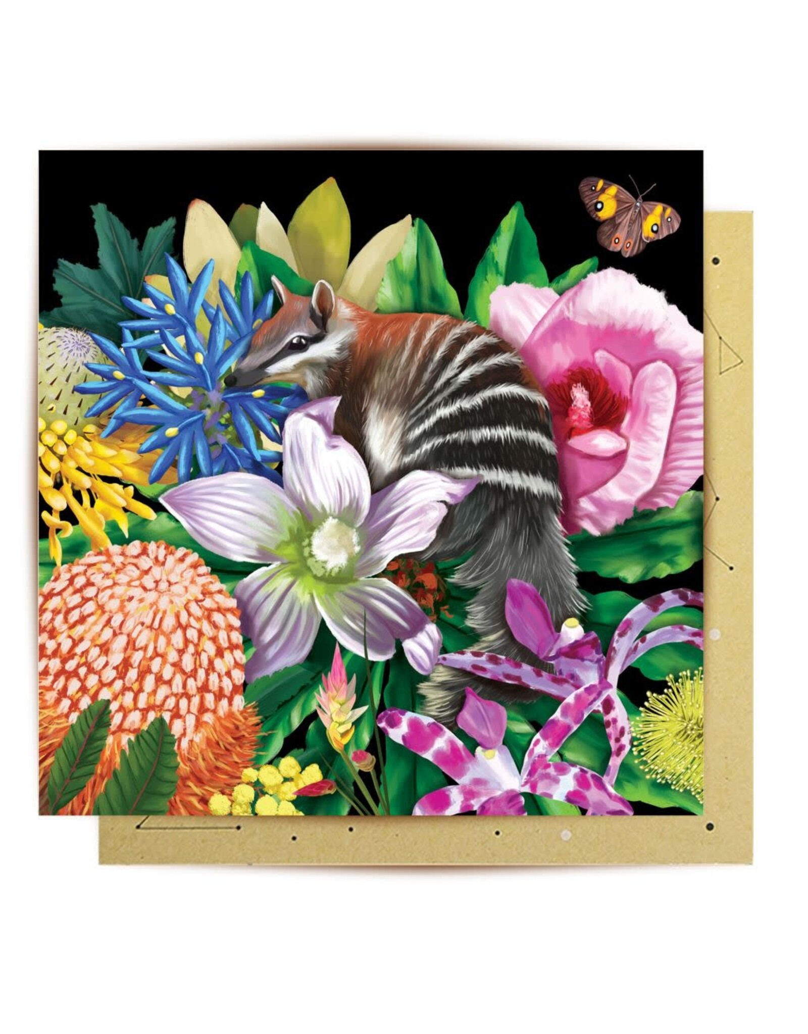 La La Land La La Land - Good Evening Numbat