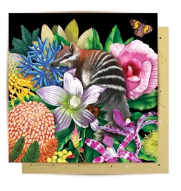 La La Land La La Land - Good Evening Numbat