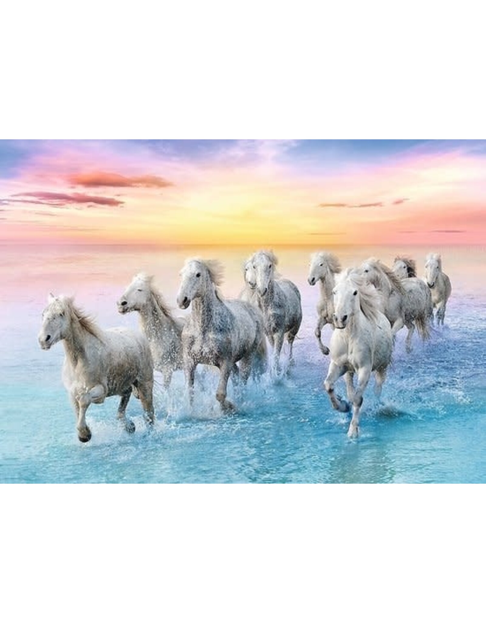 Trefl Galloping White Horses Puzzle 500