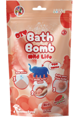 Bath Bomb DIY Red Bag