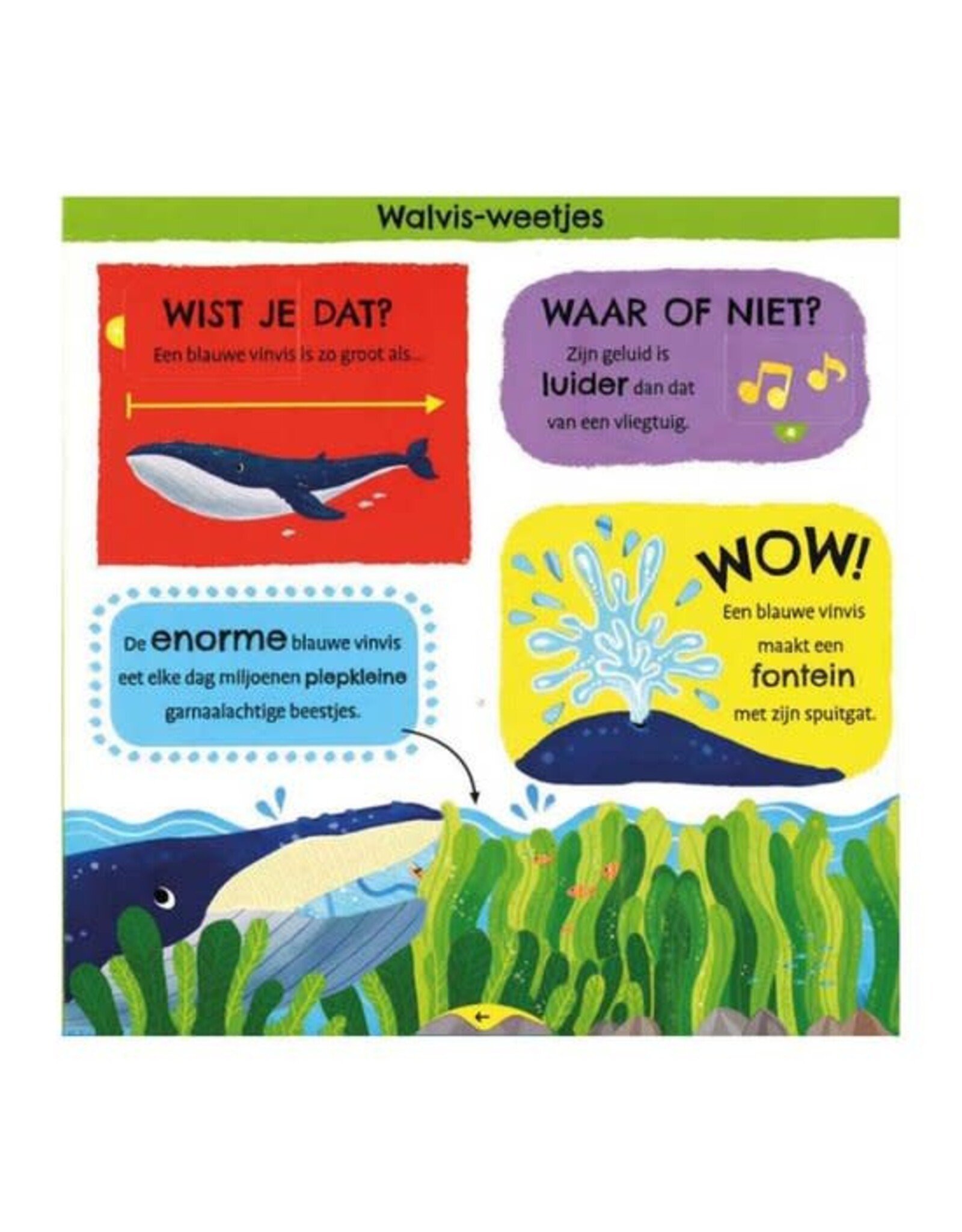 Deltas Mijn Eerste Weetjesboek - Bij De Dieren