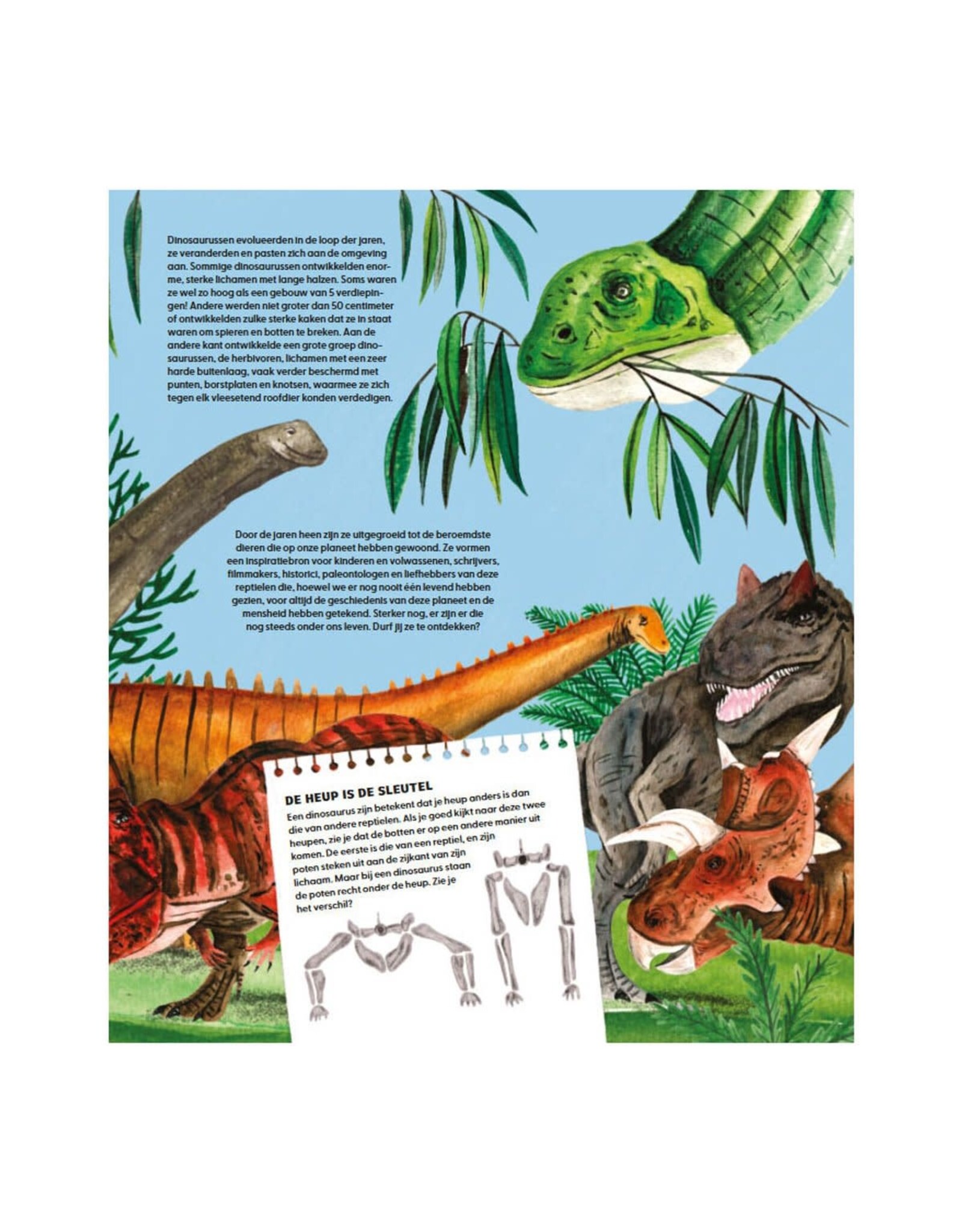 Deltas De wondere wereld van de dinosaurussen
