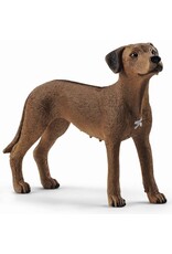 Schleich Leeuwhond (Schleich 13895)