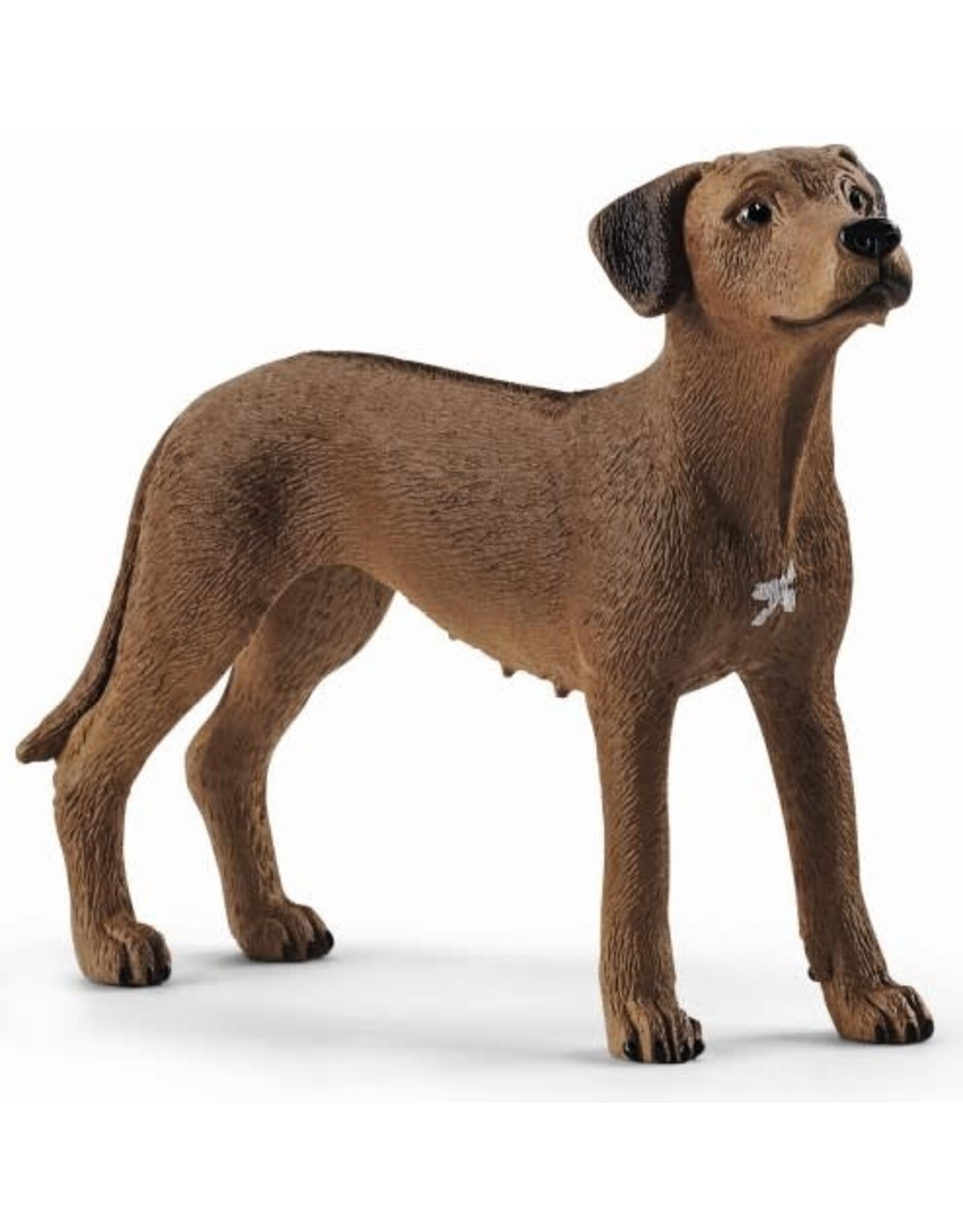 Schleich Leeuwhond (Schleich 13895)