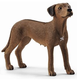 Schleich Leeuwhond (Schleich 13895)