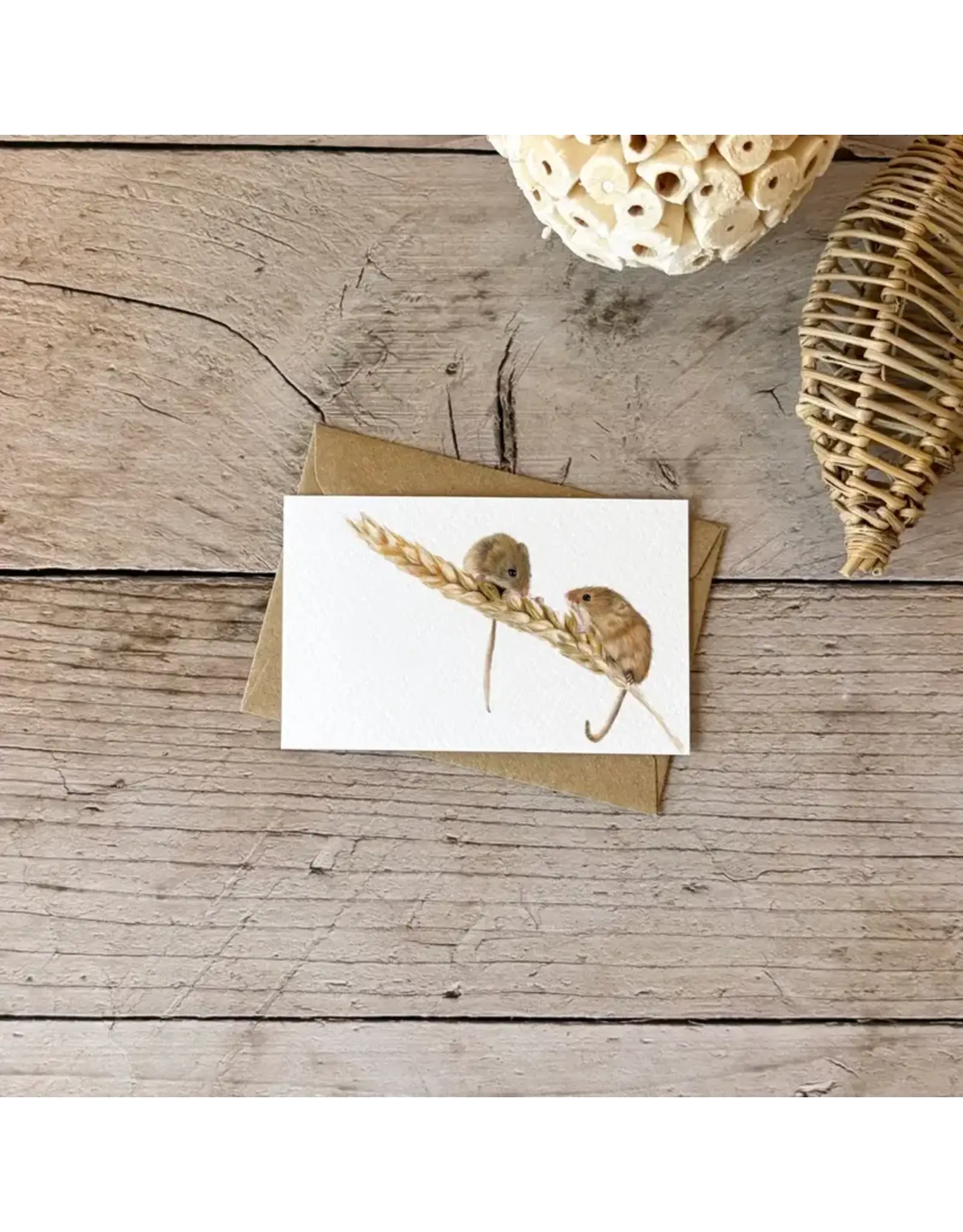 Giftcard - Mini kaartje Veldmuizen