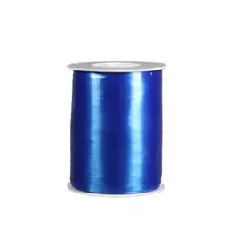500 mtr Lint Blauw 5 mm