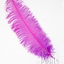 Pieten Veer Spadona groot Fluor Paars