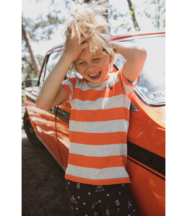 Common Heroes Jongens short - Palms