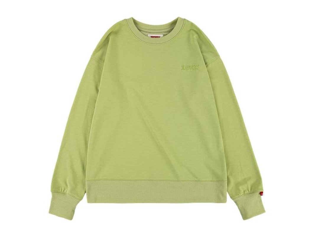 LEVI'S Jongens - Sweater graphic - Groen