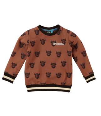 B'Chill Jongens sweater - Malu -  Bruin