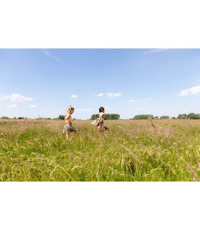 Quapi Meisjes blouse - Thalea - AOP Multi streep