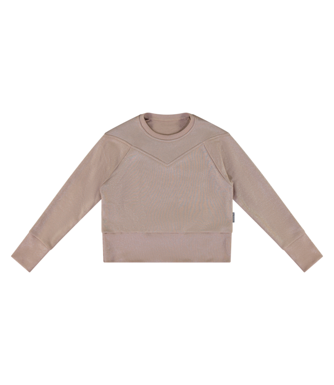 Vinrose Meisjes sweater - Zilver