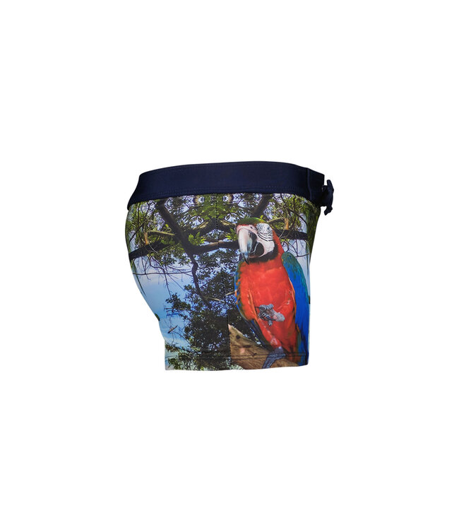 Just Beach Jongens zwembroek - Nevada - Parrot island