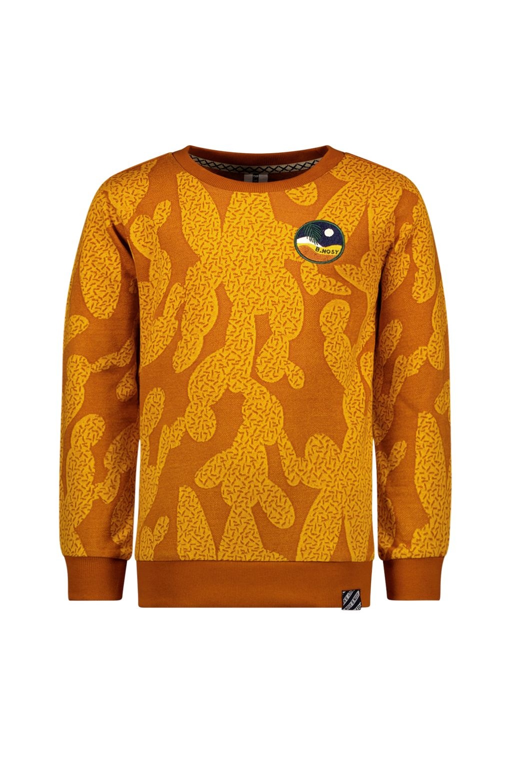B.Nosy Jongens sweater - Guus - Groovy AOP