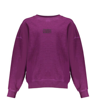 Frankie & Liberty Meisjes sweat shirt - Paris - Purple Pink