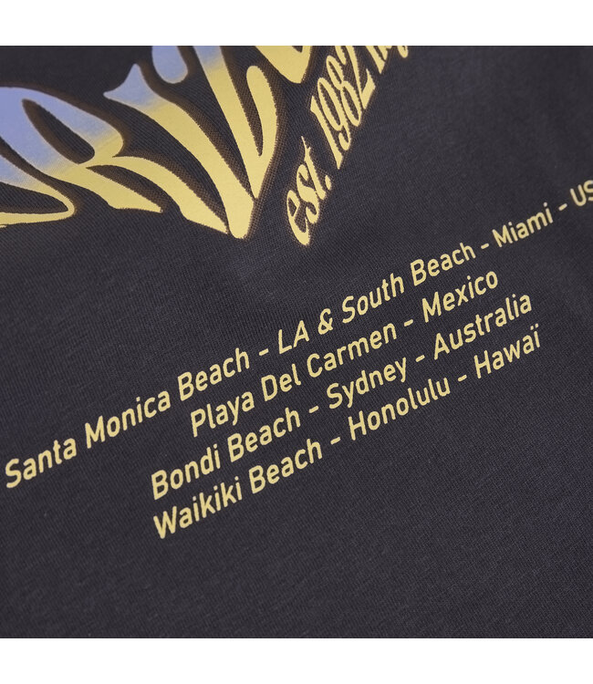 Indian Blue Jeans Zomer T-shirt S/S meisjes - grijs - print