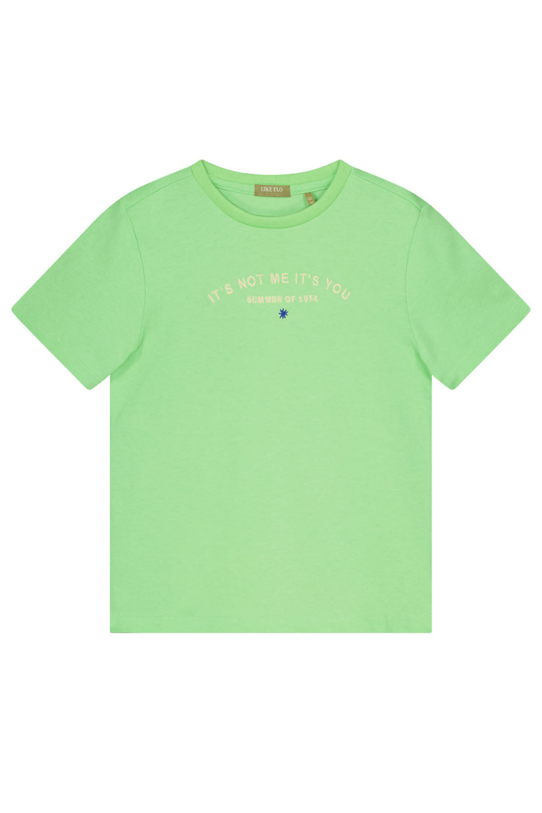 Like Flo zomer shirt meisjes teens - mint - Ease Like Flo zomer shirt meisjes teens - mint - Ease