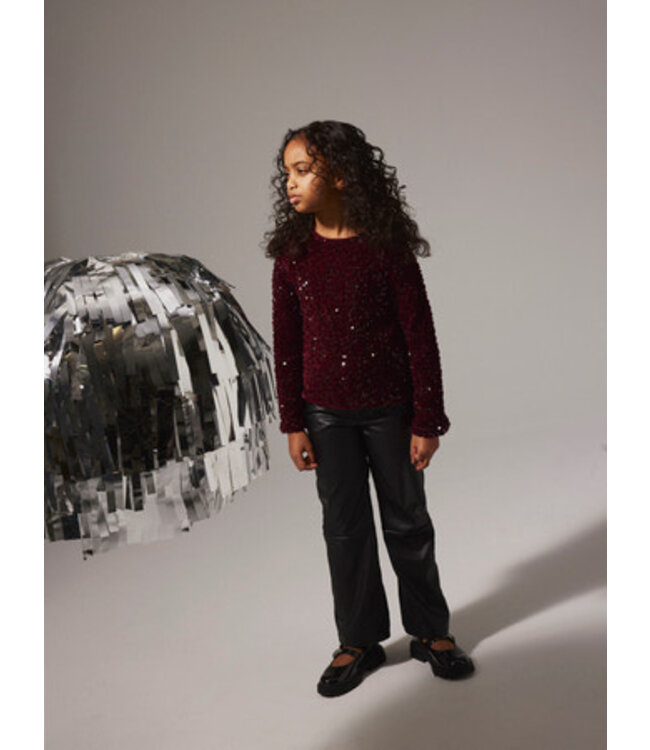 Name it winter blouse meisjes - paars - regular fit - NkfRusitta