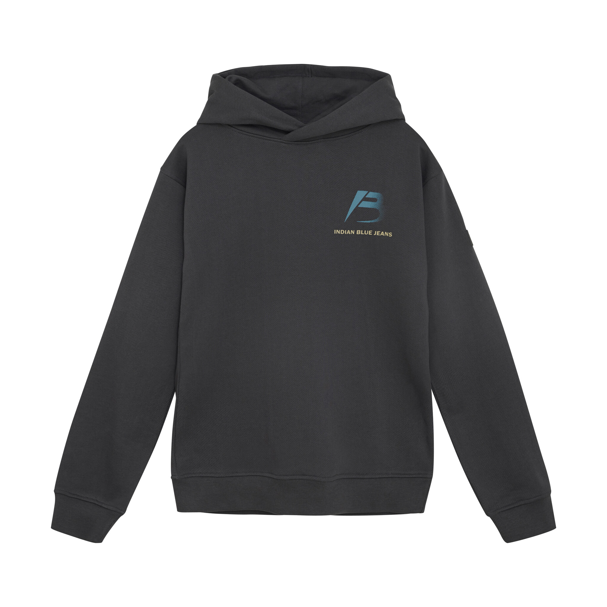 Indian Blue Jeans Winter hoodie jongens - grijs - oversized/discover afbeelding