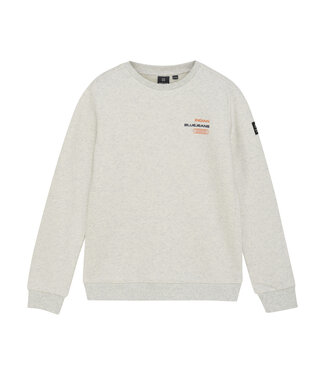 Indian Blue Jeans Winter sweater jongens - grijs loose fit/Melange Indian Blue Jeans Winter sweater jongens - grijs loose fit/Melange